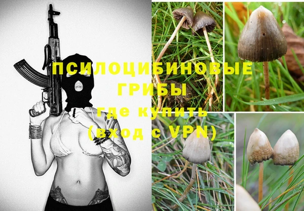 стаф Мегион