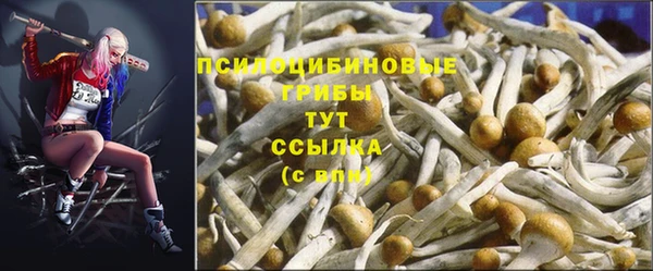 стаф Мегион