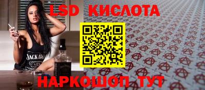 ECSTASY Гатчина