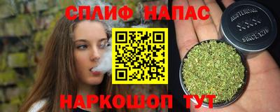 ECSTASY Гатчина