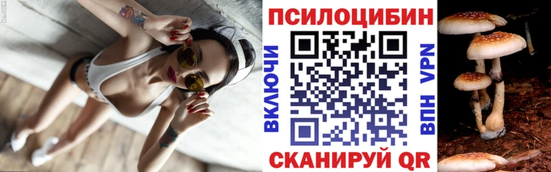 Псилоцибиновые грибы мухоморы  где купить наркоту  Кулебаки 