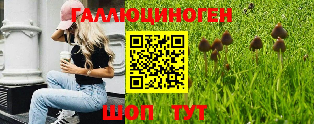 Псилоцибиновые грибы MAGIC MUSHROOMS Кулебаки